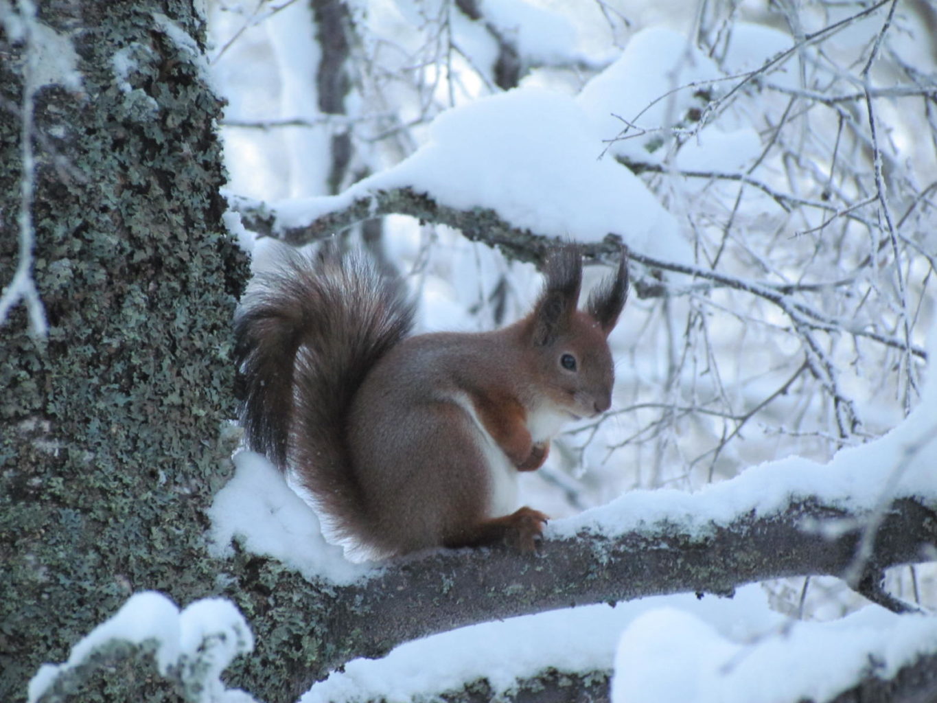 Valokuvaaja: Eija-Liisa Koivisto Valokuvaaja: Eija-Liisa Koivisto