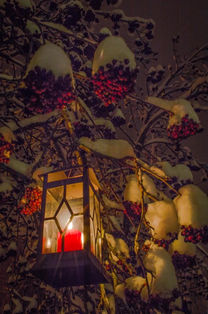 Valokuvaaja: Terho Männistö