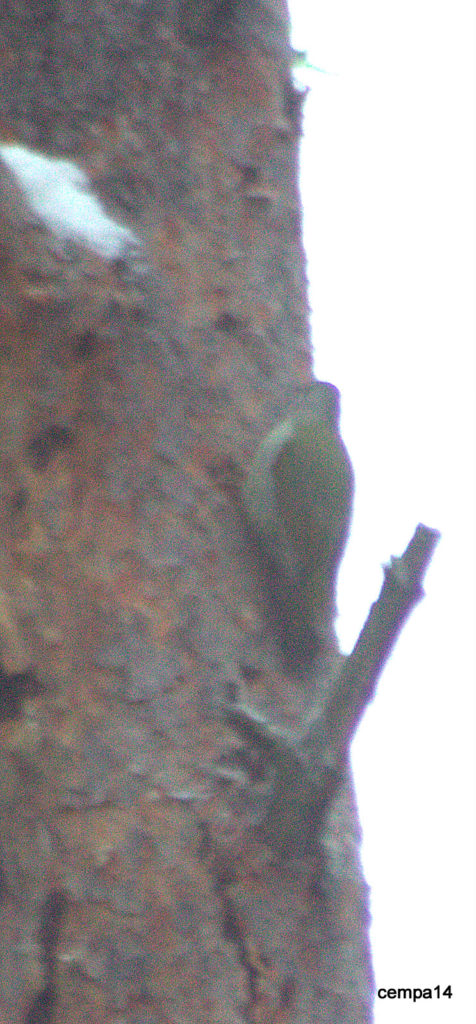 Valokuvaaja: tapio keinonen