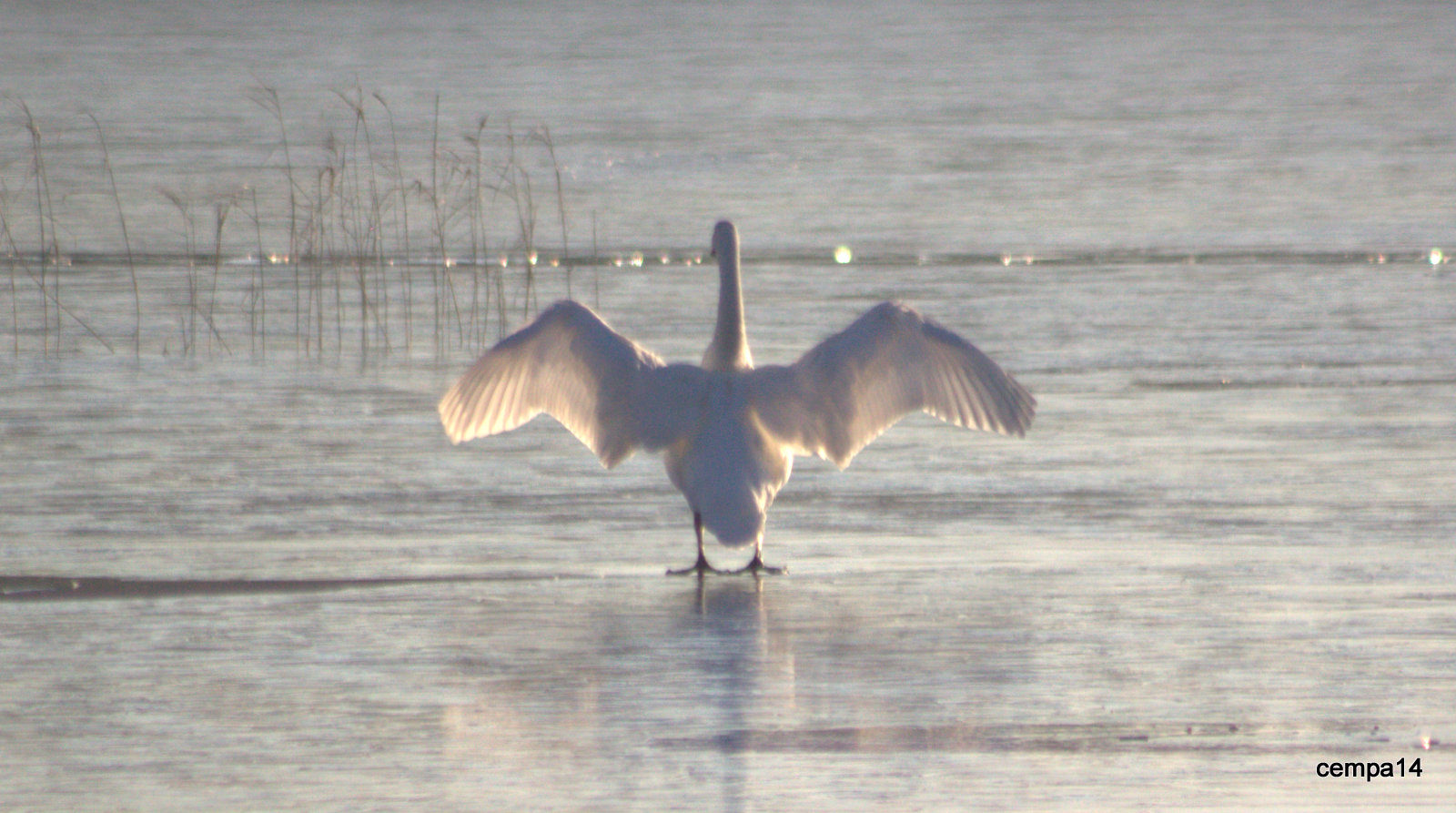 Valokuvaaja: tapio keinonen