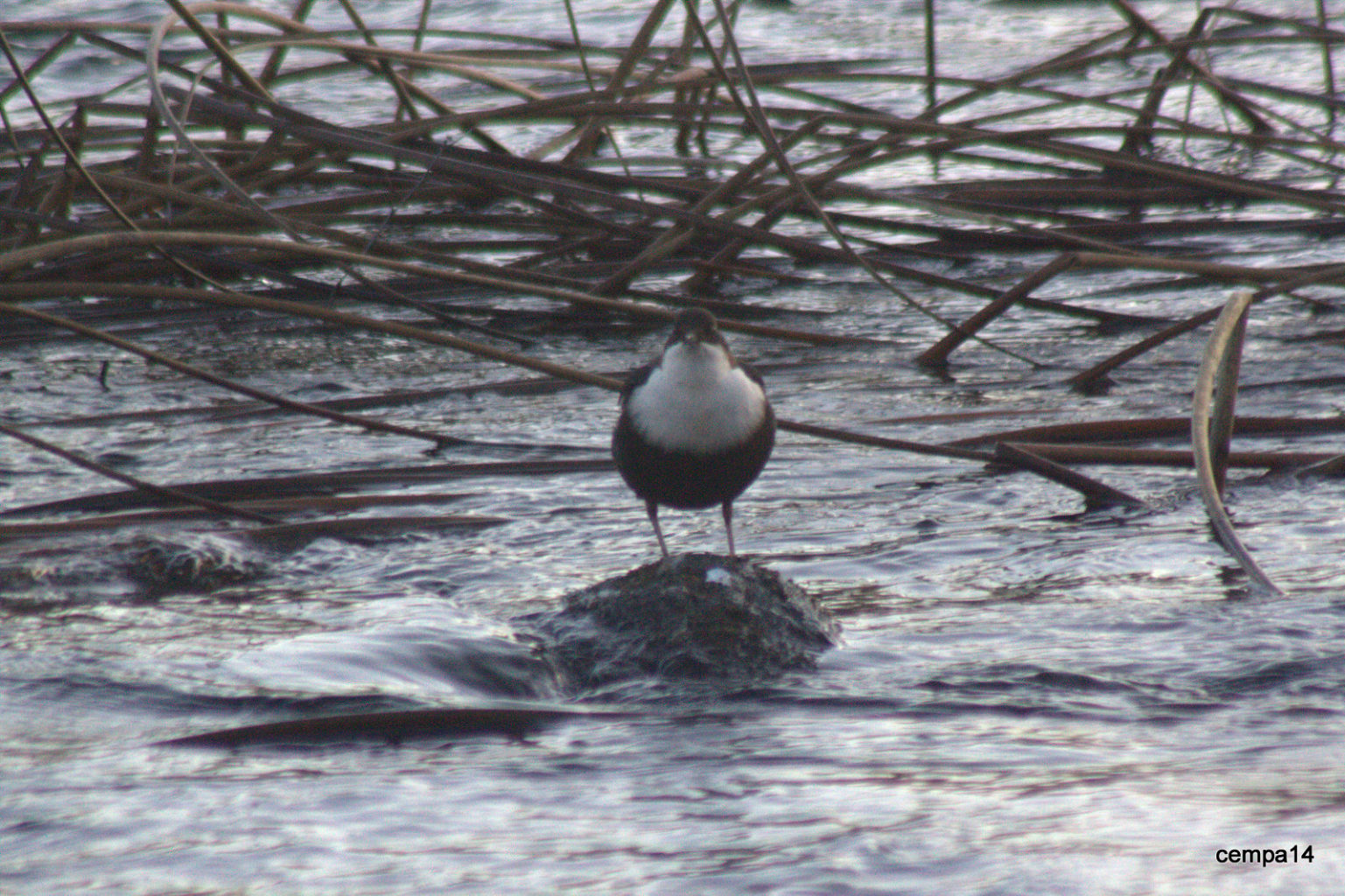 Valokuvaaja: tapio keinonen