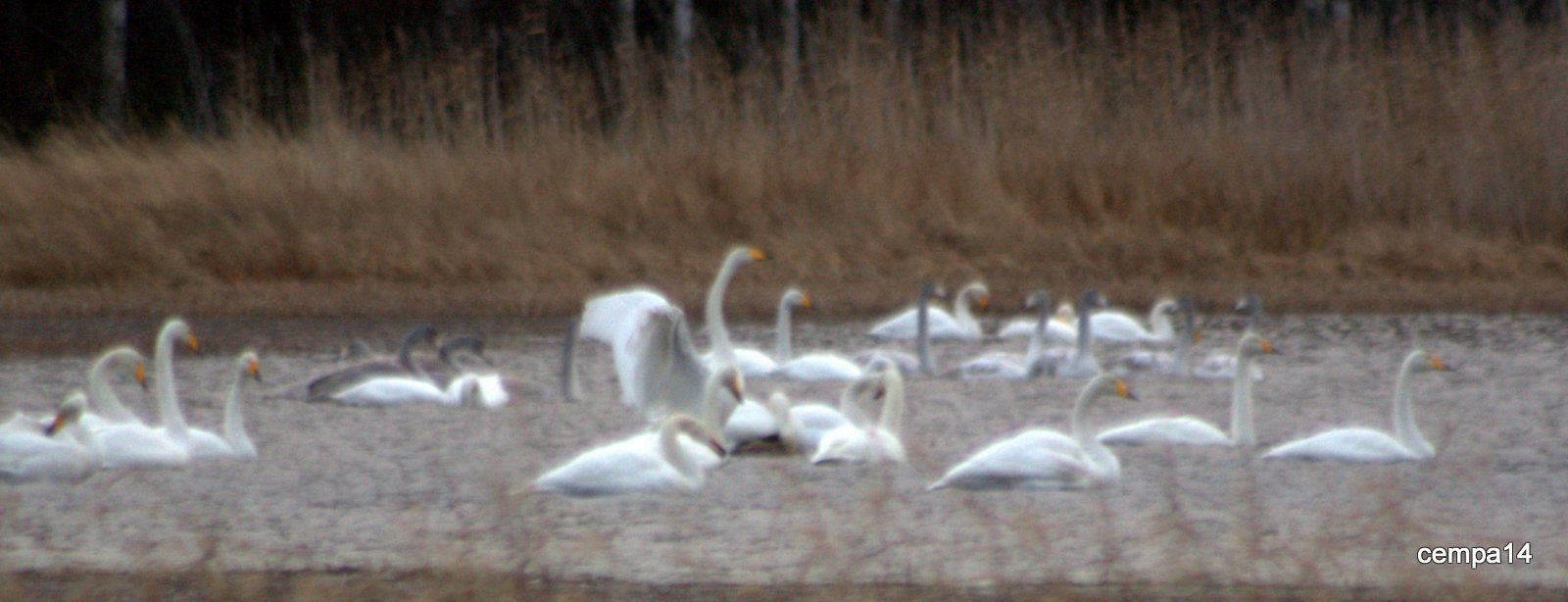Valokuvaaja: tapio keinonen