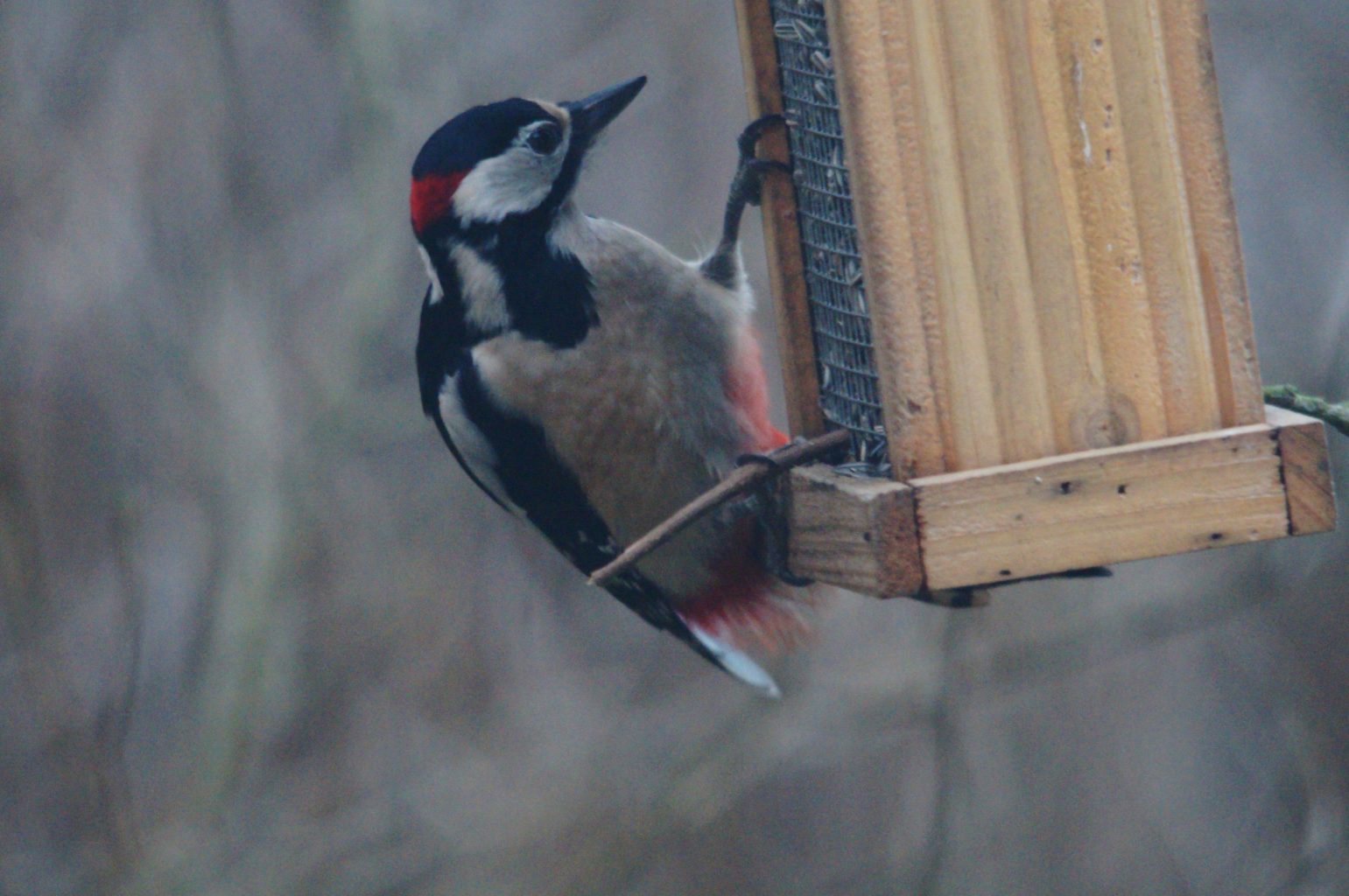 Valokuvaaja: Jari Pirppu