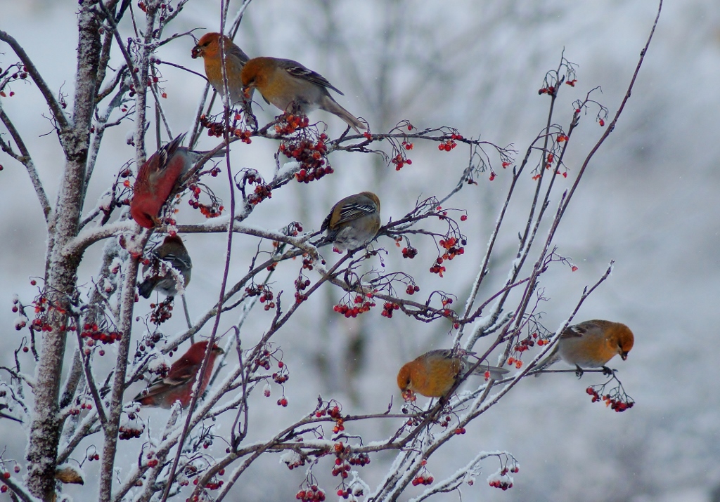 Valokuvaaja: Maarit Siitonen