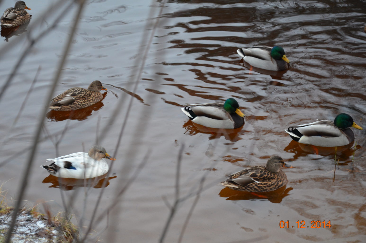Valokuvaaja: Tiina Tarvainen