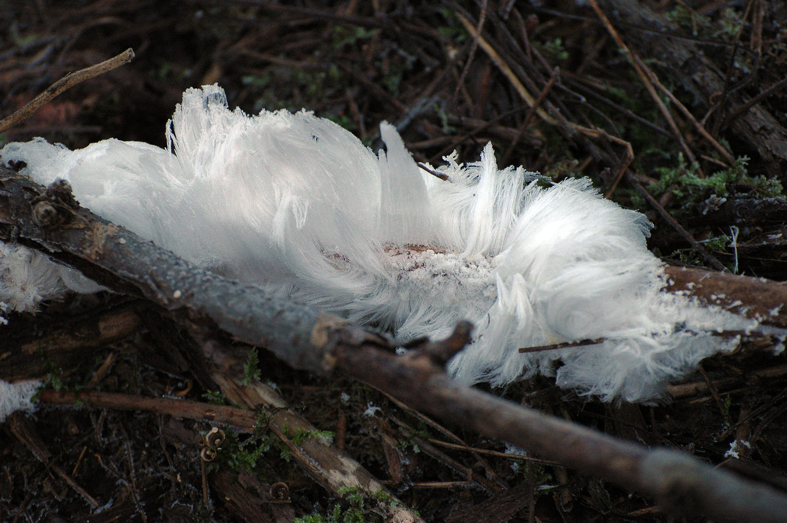 Valokuvaaja: Paavo Siukonen