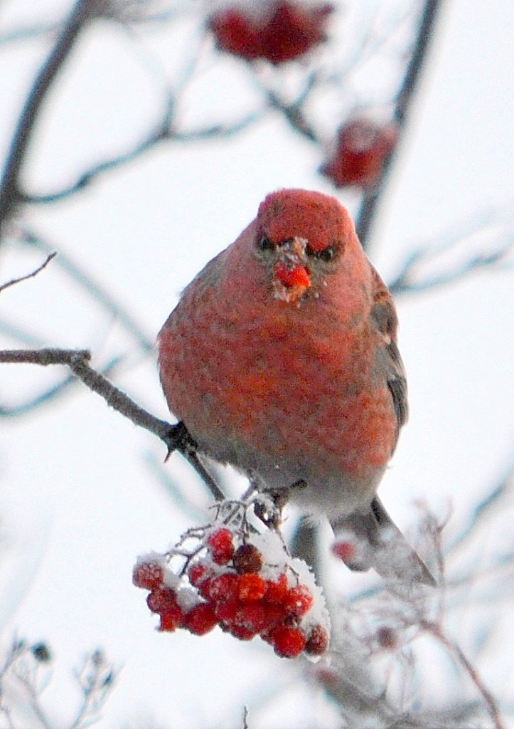 Valokuvaaja: Leena Silvola