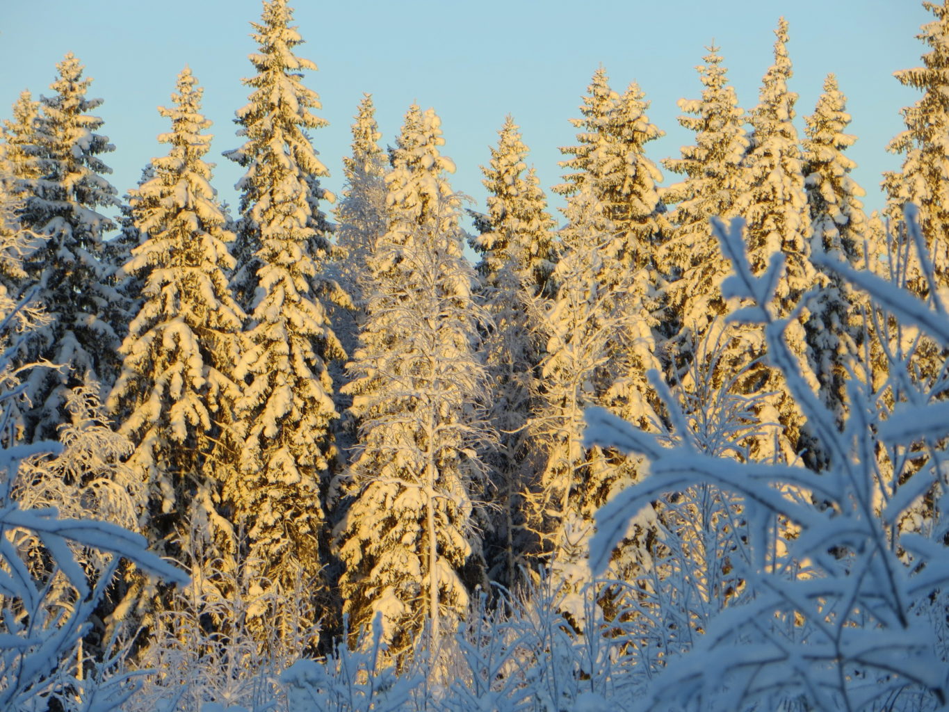 Valokuvaaja: Sirkka Ruotoistenmäki