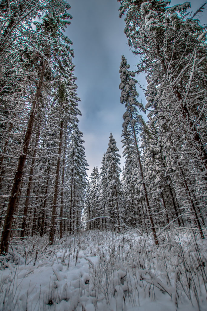 Valokuvaaja: Satu Mali