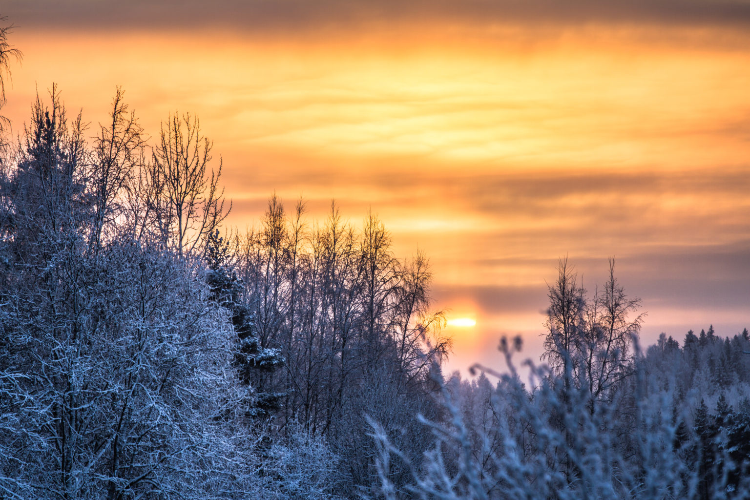 Valokuvaaja: Satu Mali