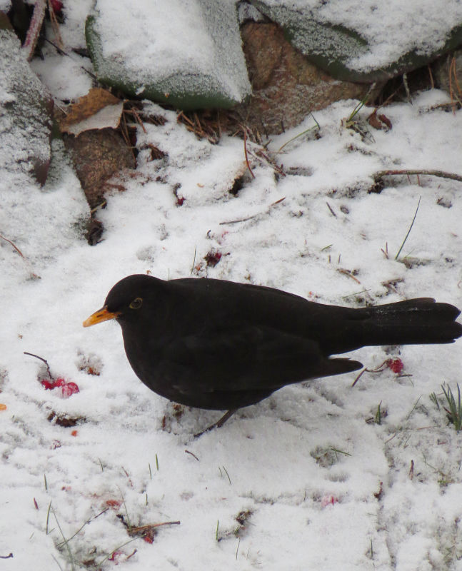 Valokuvaaja: Jaana Talvinen