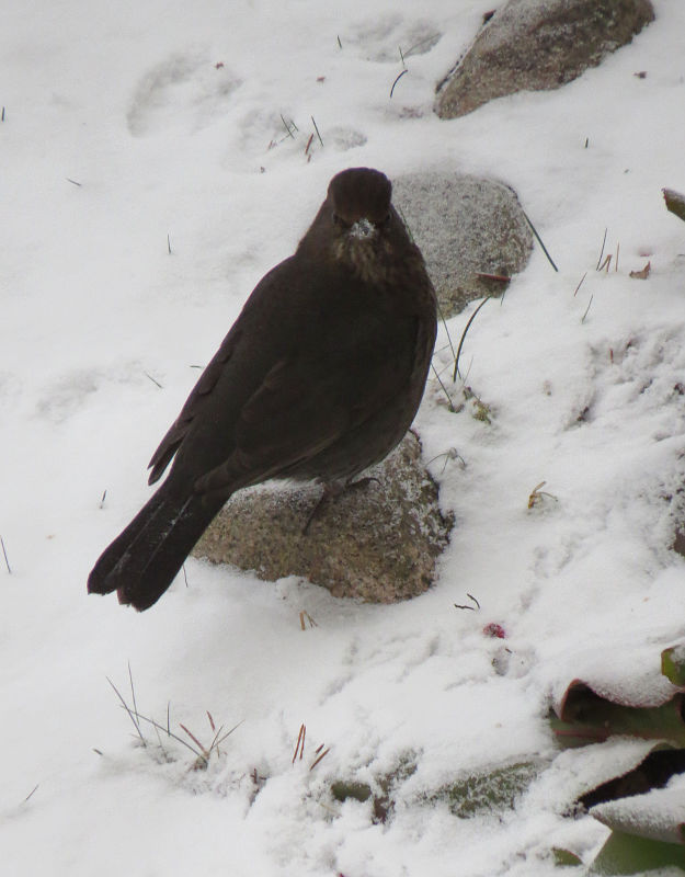 Valokuvaaja: Jaana Talvinen