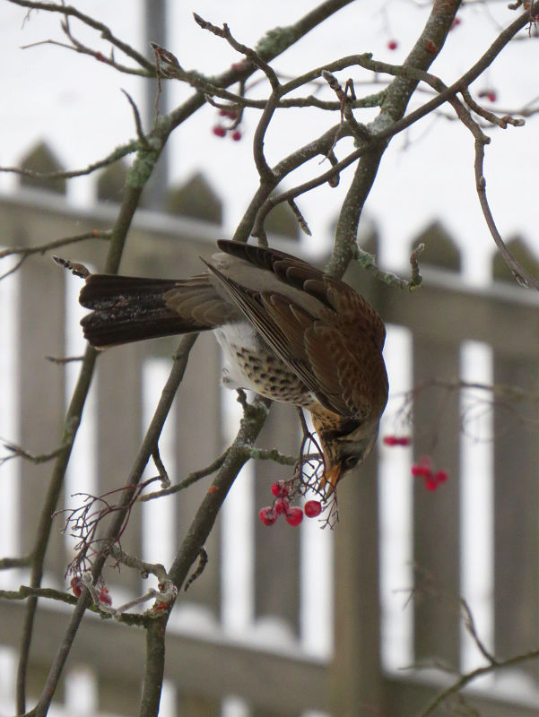 Valokuvaaja: Jaana Talvinen