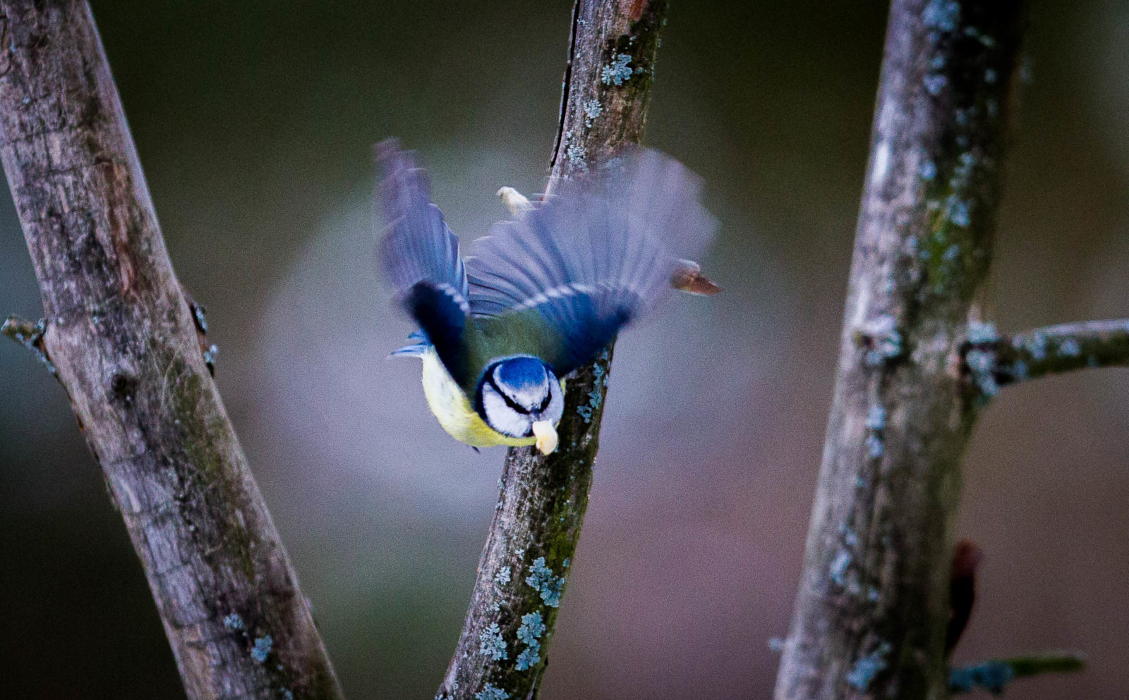 Valokuvaaja: Kyösti Sorsa