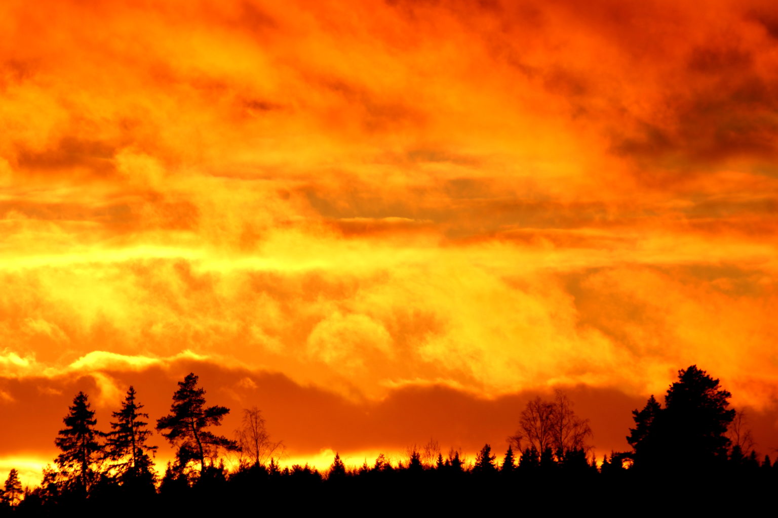 Valokuvaaja: Irja Lehtinen