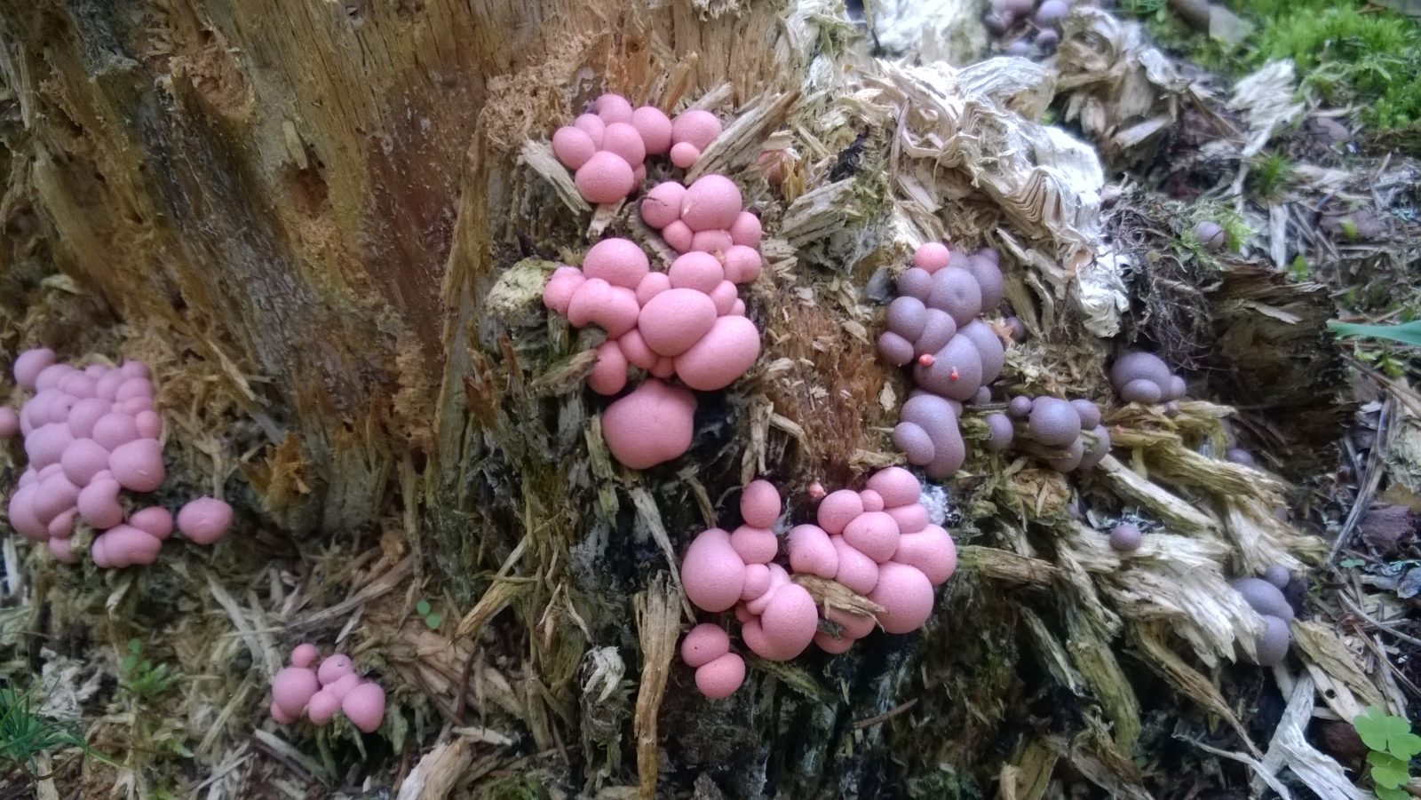 Valokuvaaja: Karla Salonen