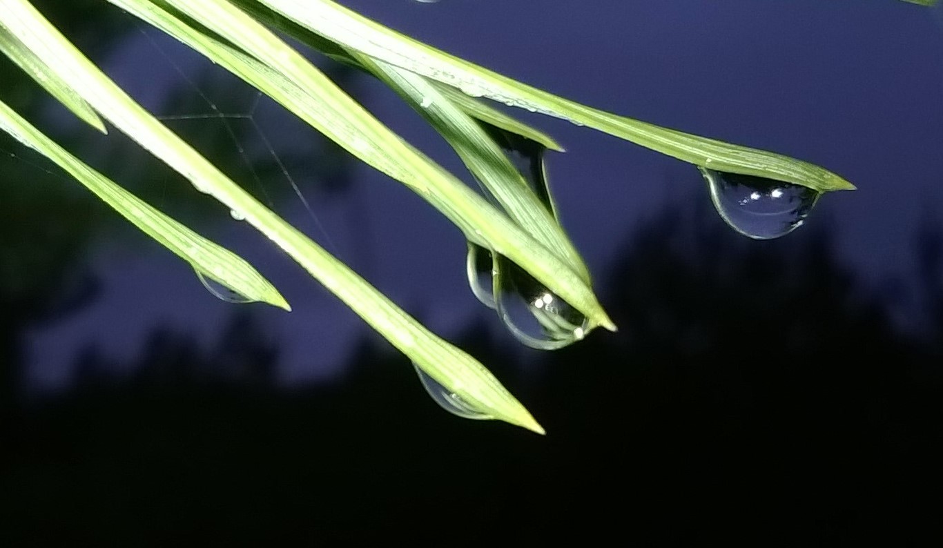 Valokuvaaja: Marja-Liisa Paavola