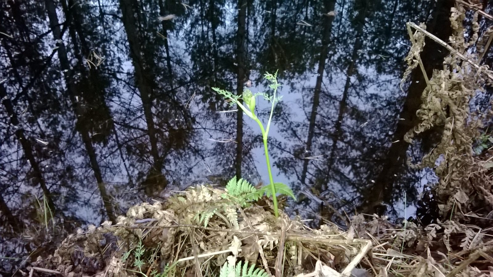 Valokuvaaja: Marja-Liisa Paavola