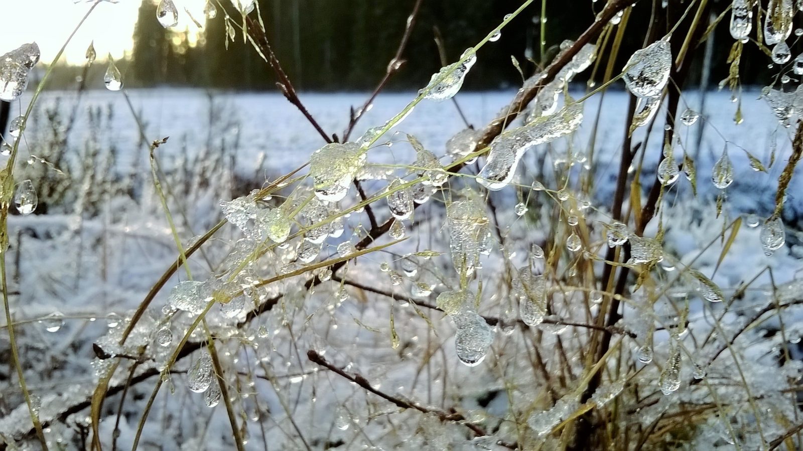 Valokuvaaja: Marja-Liisa Paavola
