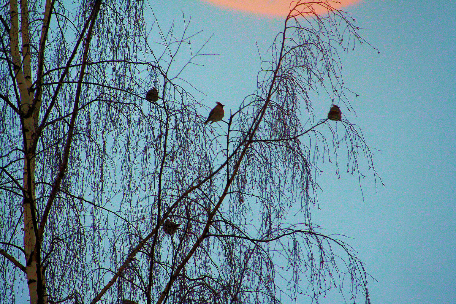 Valokuvaaja: Ahti Keränen