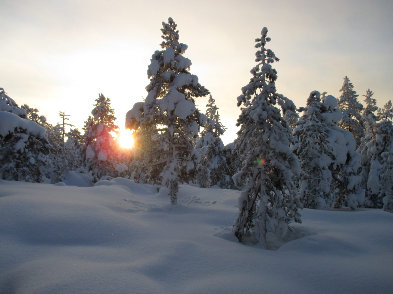 Valokuvaaja: yrjö lukkari Valokuvaaja: yrjö lukkari