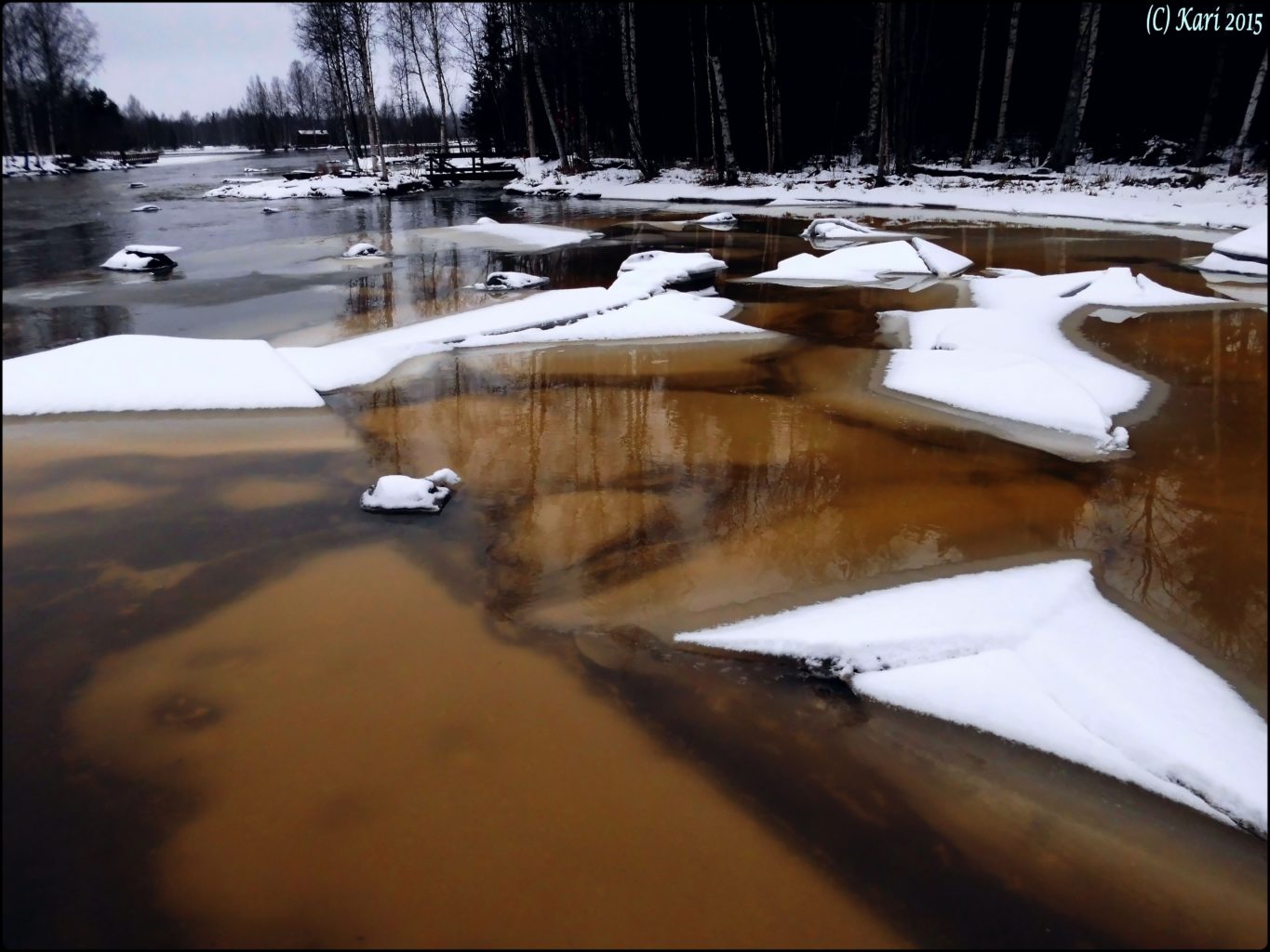 Valokuvaaja: Kari Saarinen