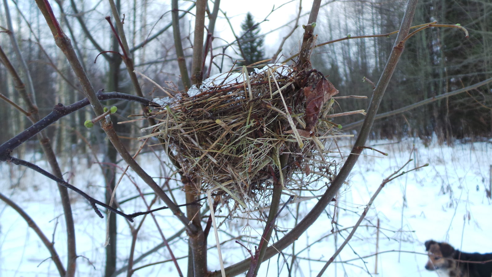 Valokuvaaja: Kirsi Grönholm