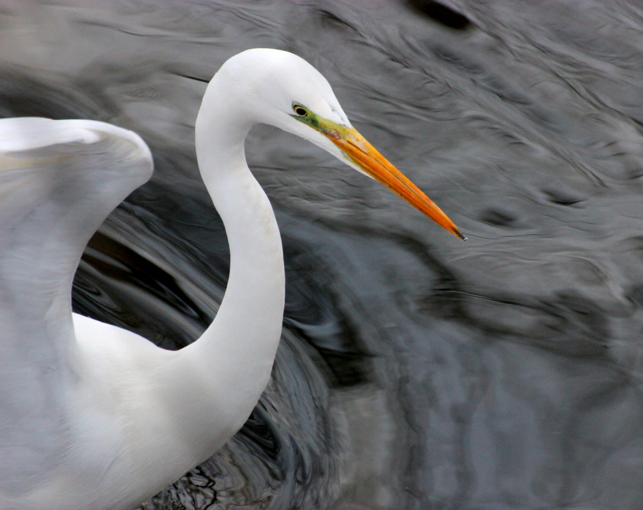 Valokuvaaja: Irja Lehtinen Valokuvaaja: Irja Lehtinen