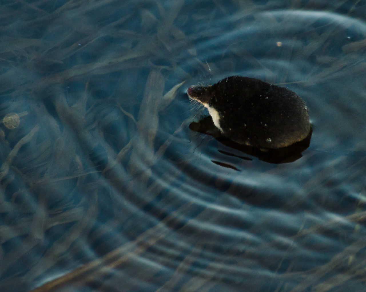 Valokuvaaja: Otso Häärä Valokuvaaja: Otso Häärä