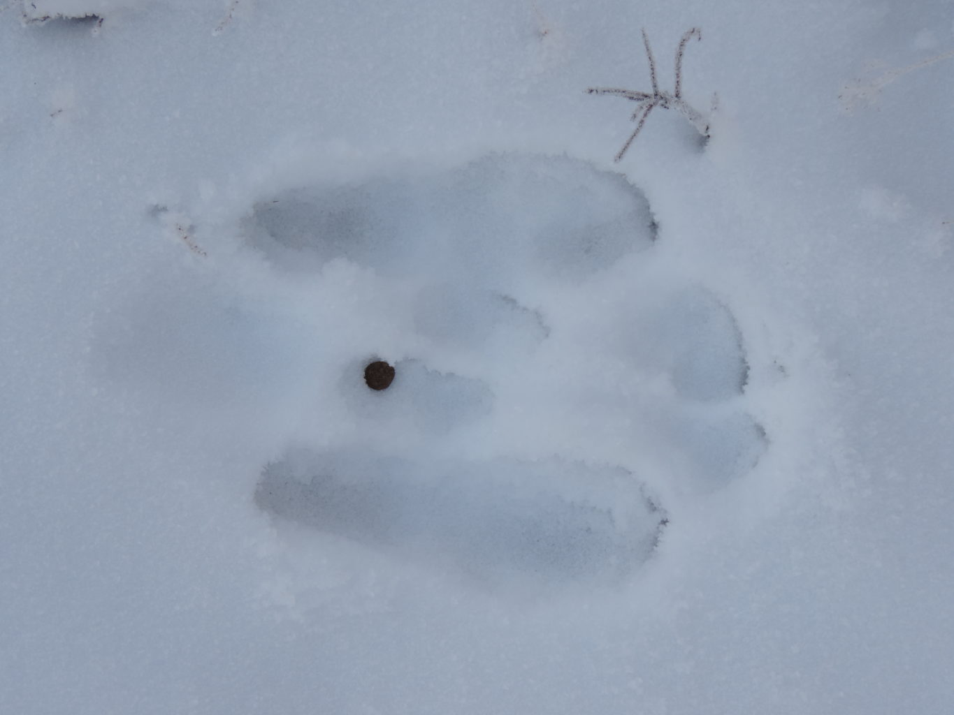 Valokuvaaja: Helena Sytelä