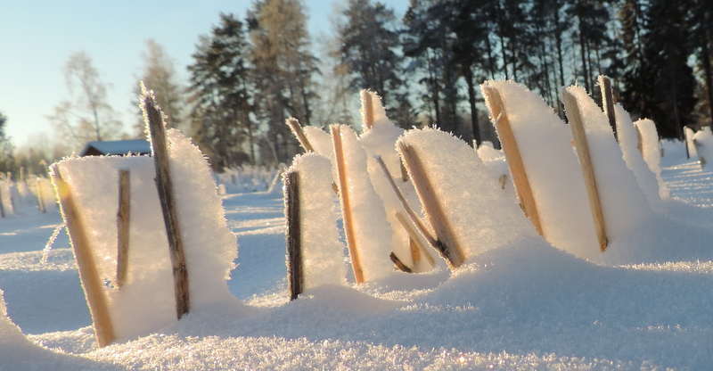 Valokuvaaja: Helena Sytelä