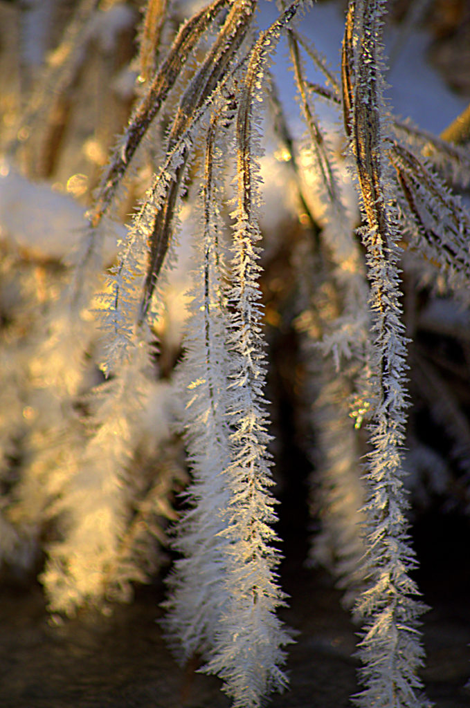 Valokuvaaja: Eija Varjola