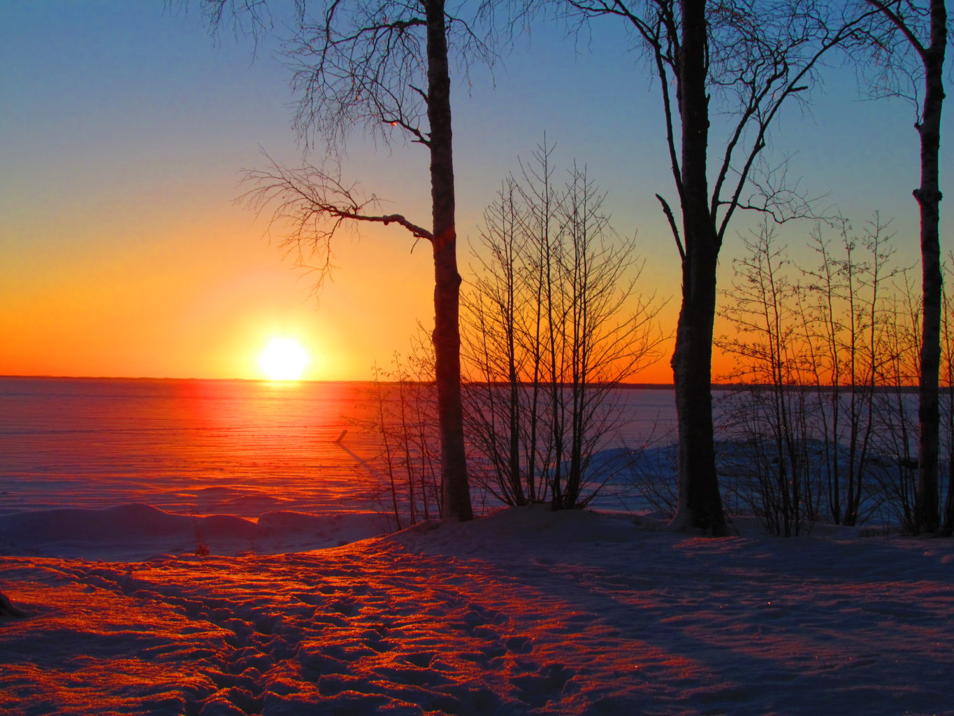 Valokuvaaja: Anne Puustinen