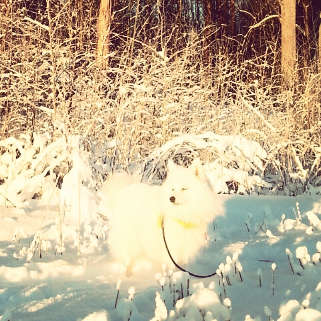 Valokuvaaja: Juha Ryynänen