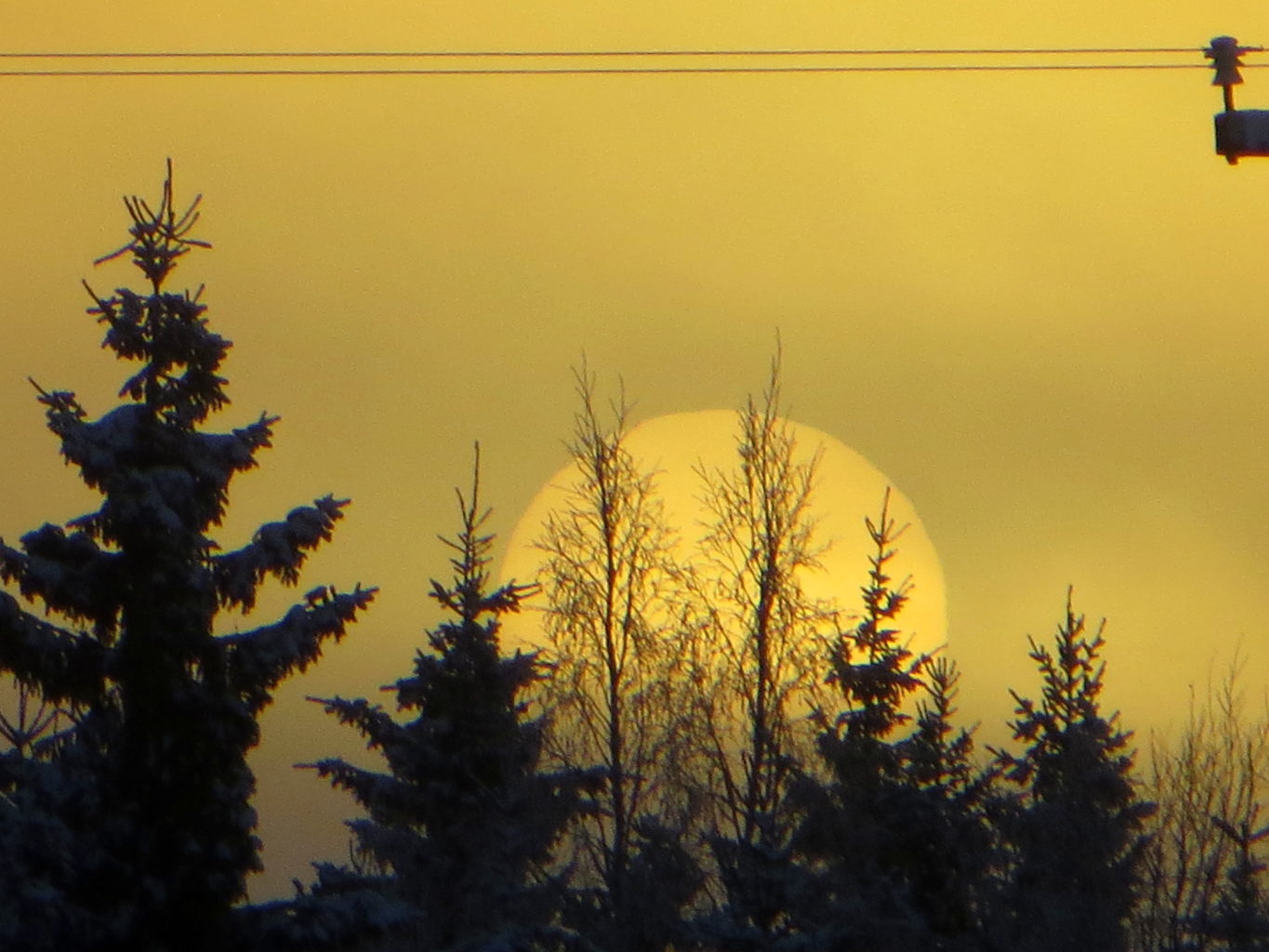 Valokuvaaja: Sirkka Ruotoistenmäki