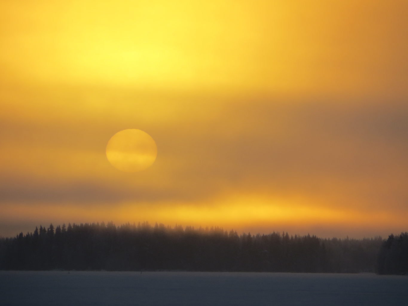 Valokuvaaja: Sirkka Ruotoistenmäki