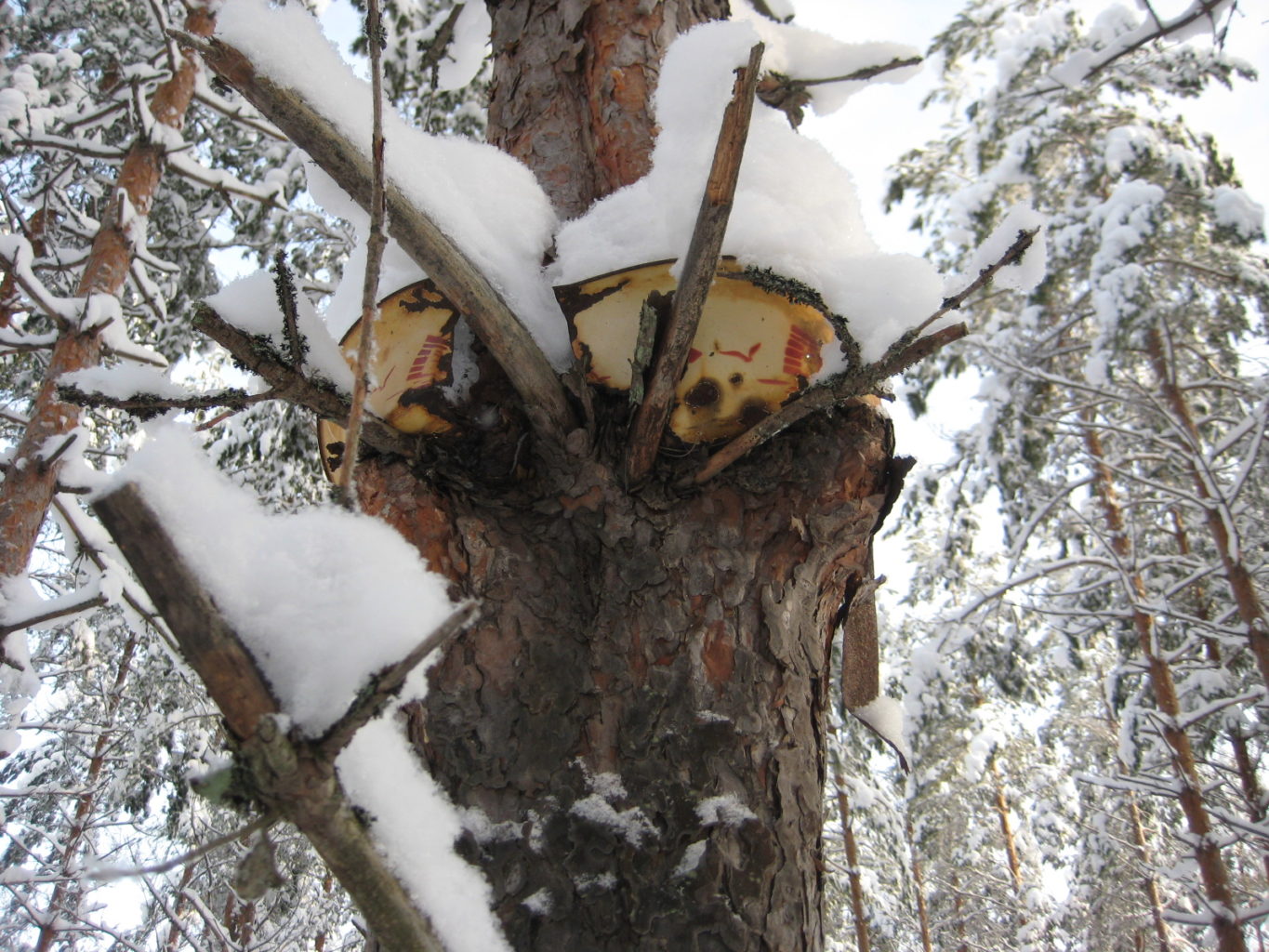 Valokuvaaja: Anja Vuori 