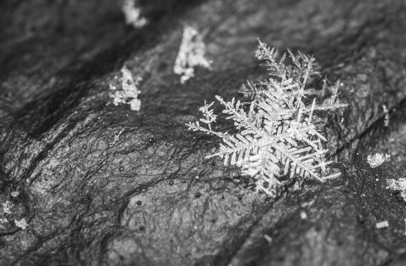 Valokuvaaja: Satu Mali