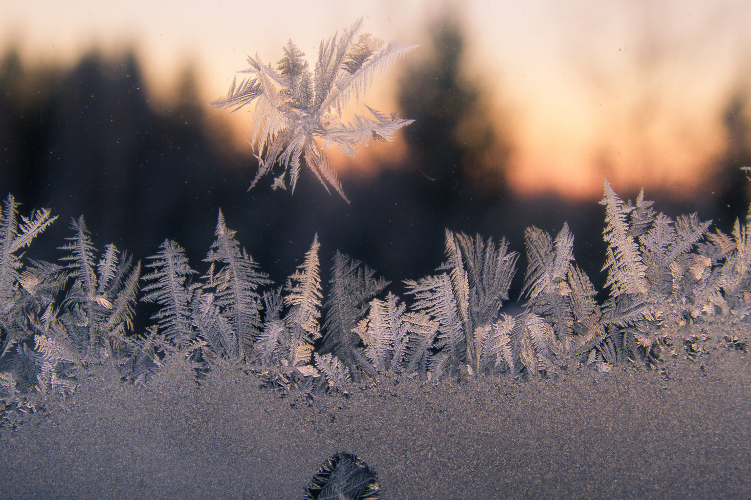 Valokuvaaja: Satu Mali