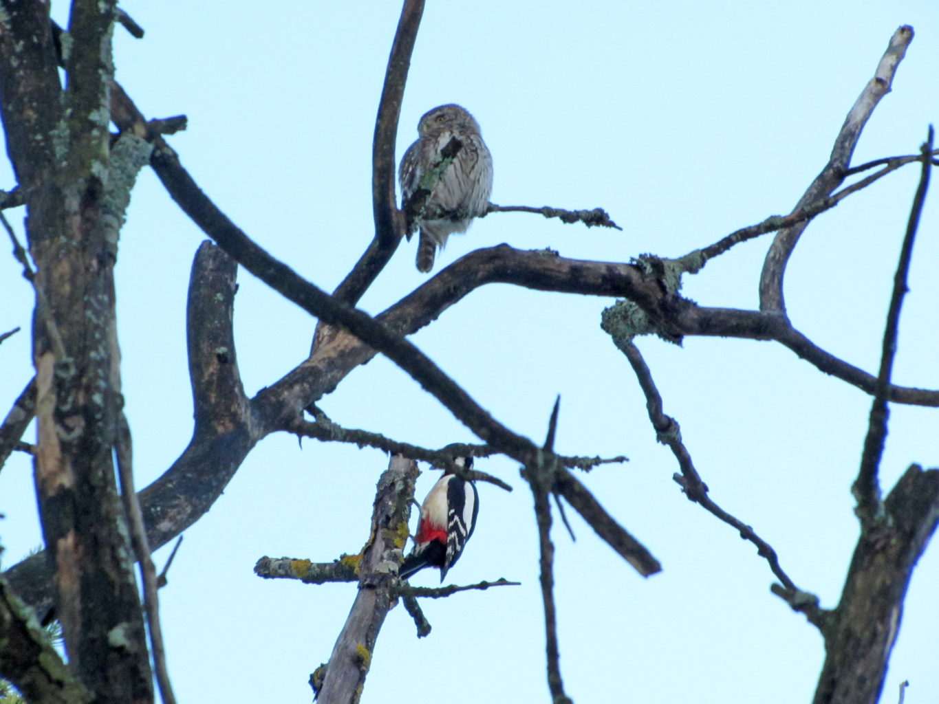 Valokuvaaja: Liisa Johansson Valokuvaaja: Liisa Johansson
