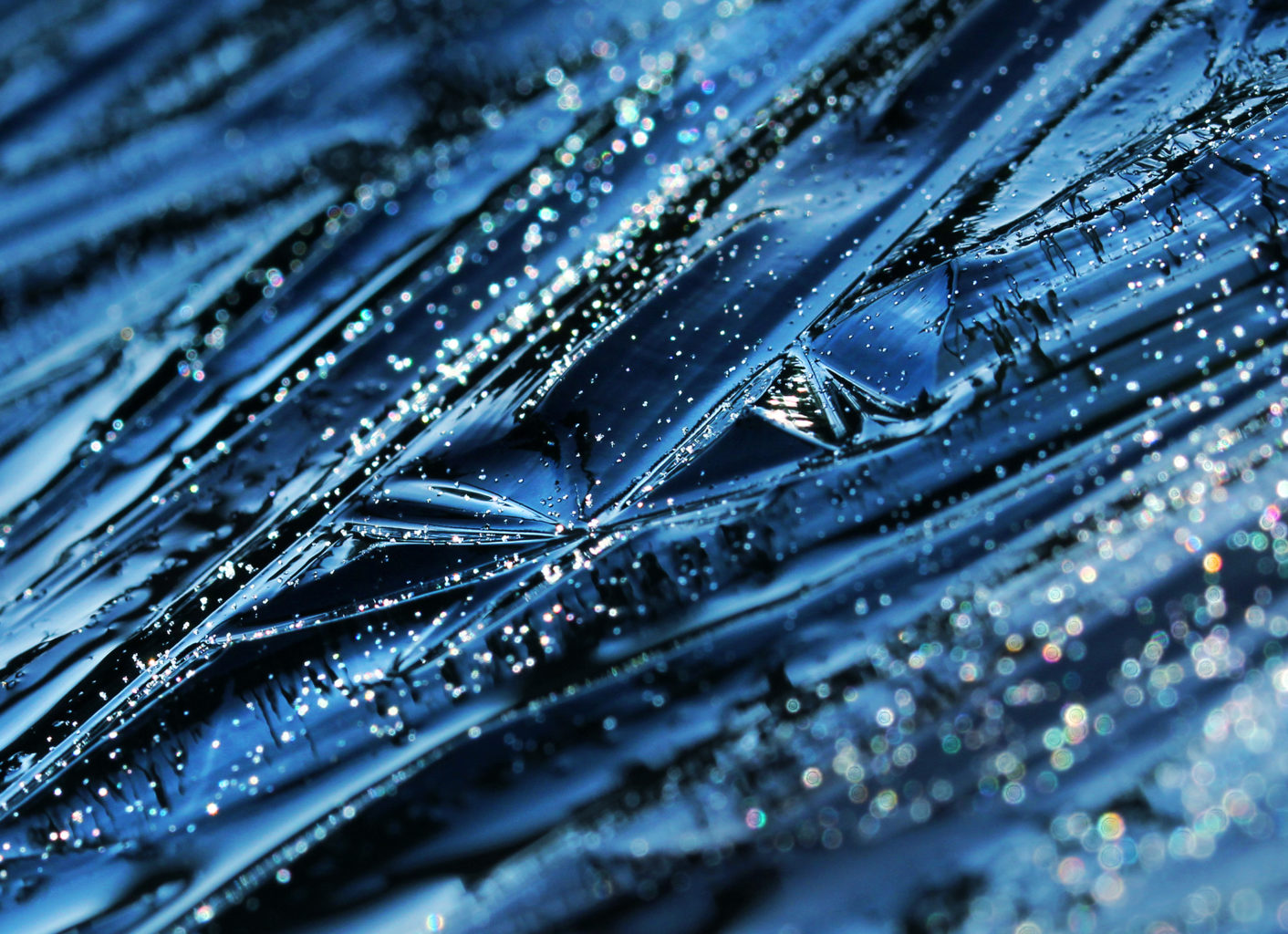 Valokuvaaja: Tarja Porkkala