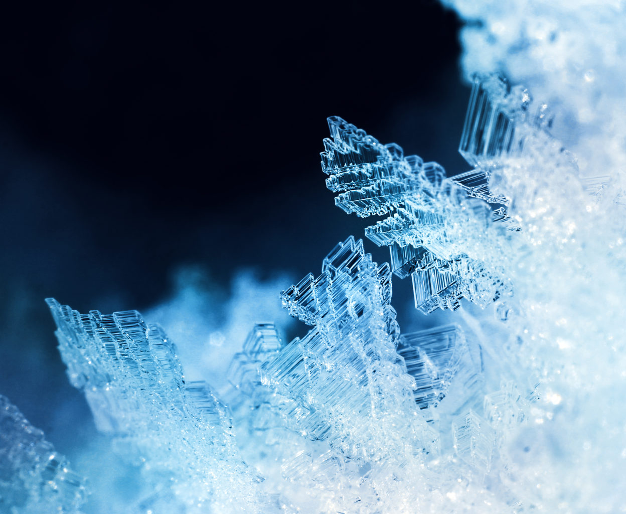 Valokuvaaja: Tarja Porkkala