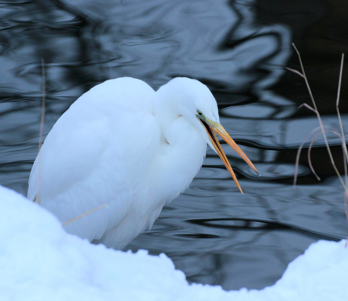 Valokuvaaja: Irja Lehtinen