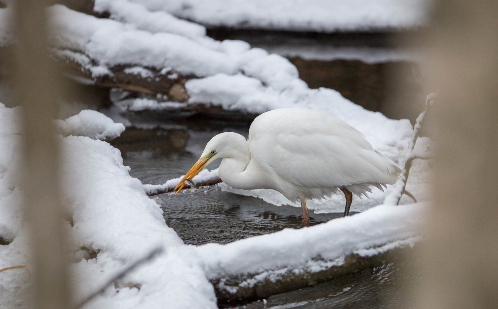 Valokuvaaja: Kyösti Sorsa