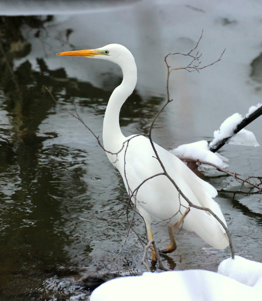 Valokuvaaja: Irja Lehtinen Valokuvaaja: Irja Lehtinen