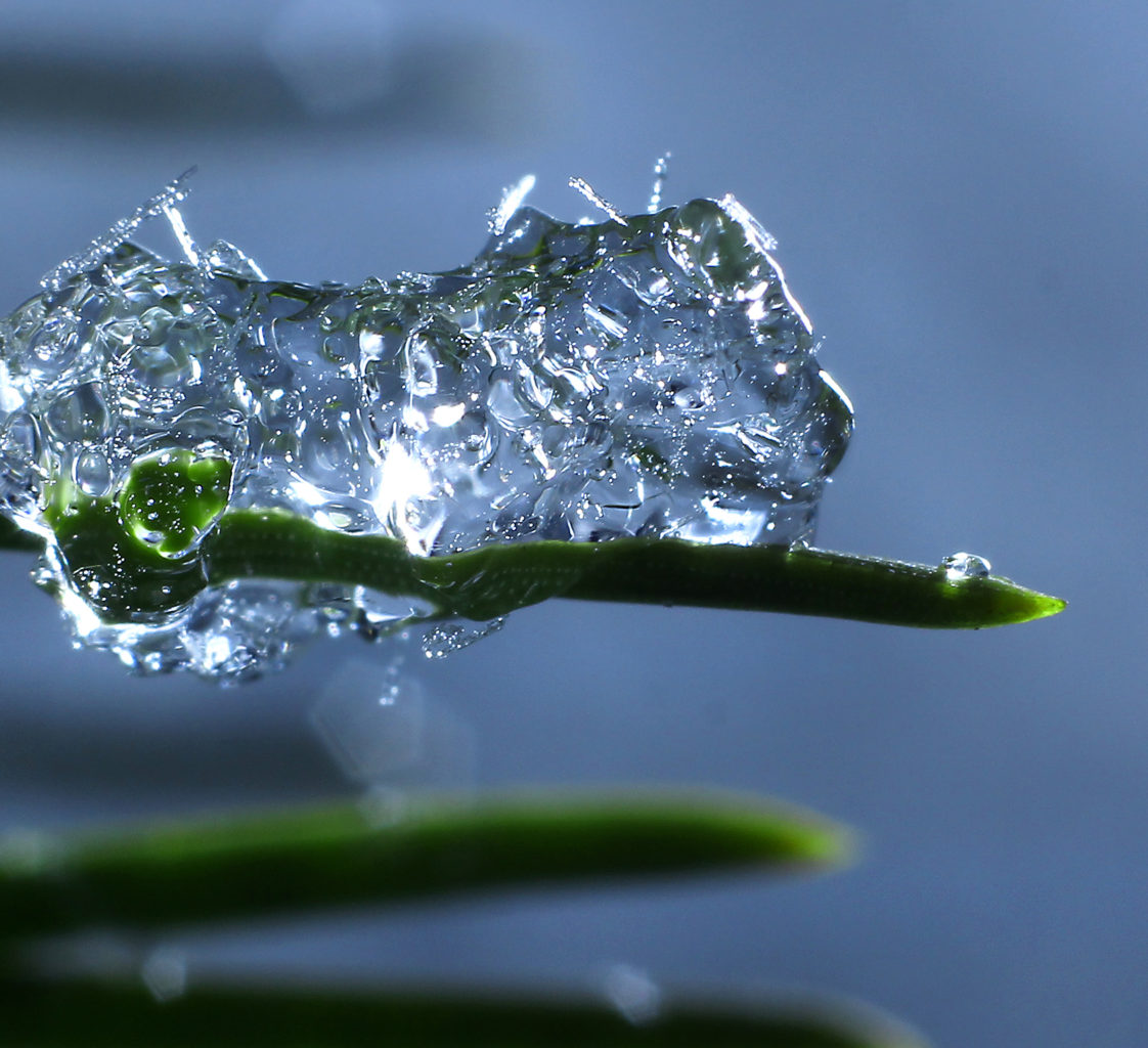 Valokuvaaja: Tarja Porkkala