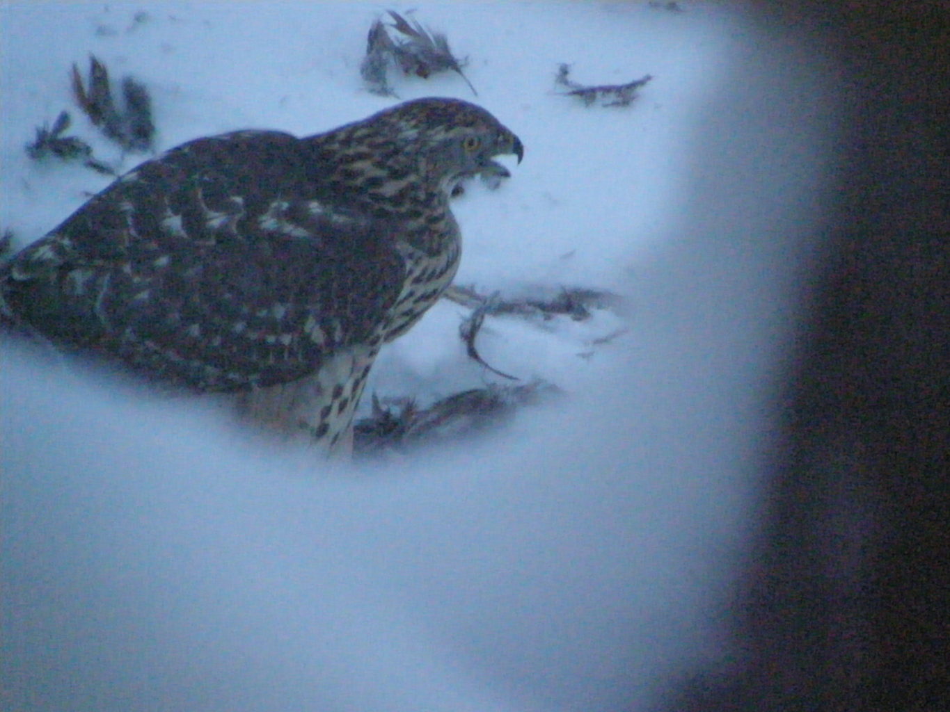 Valokuvaaja: Kärnä-Moilanen Merja