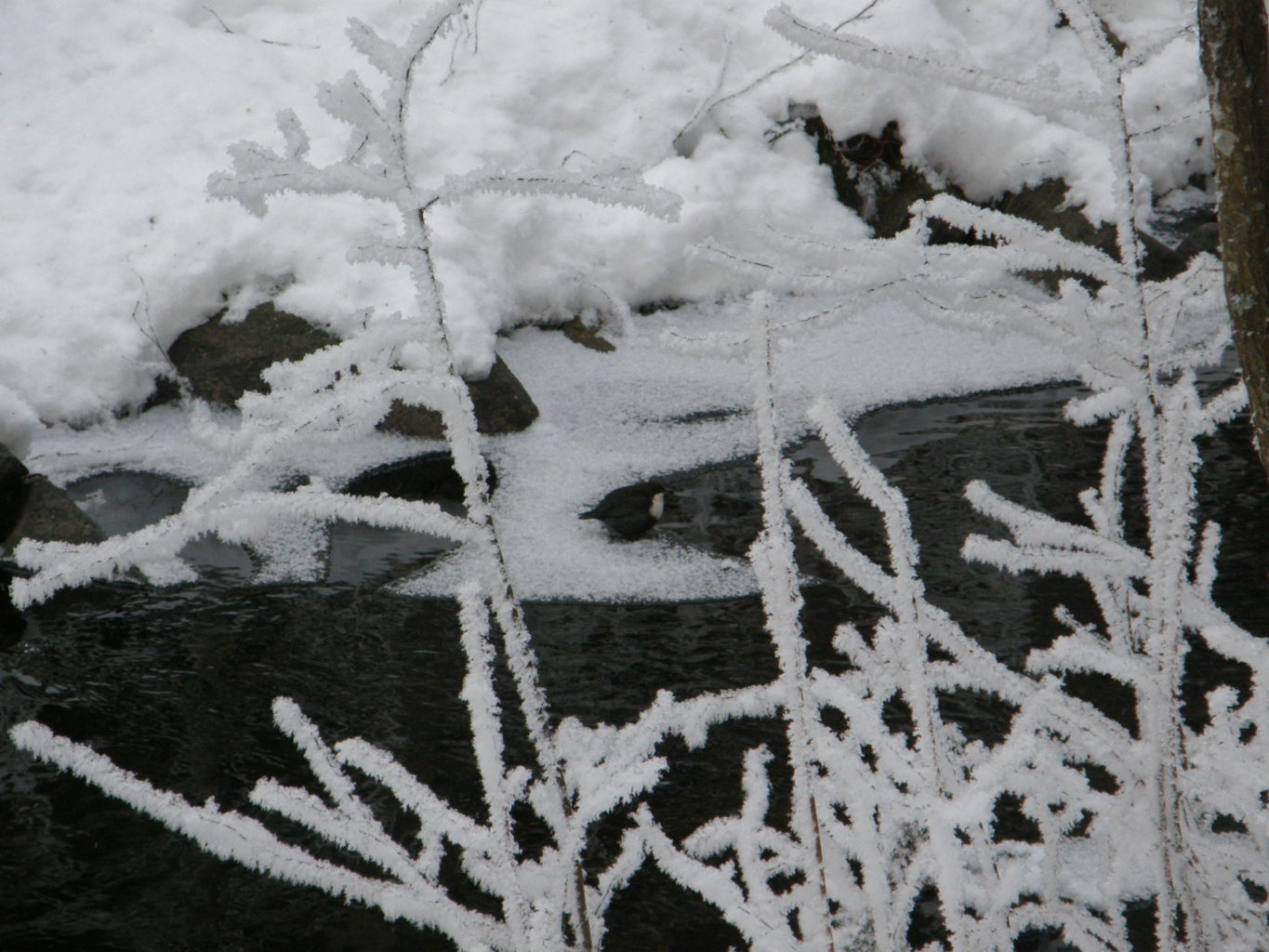Valokuvaaja: tenho leuanniemi