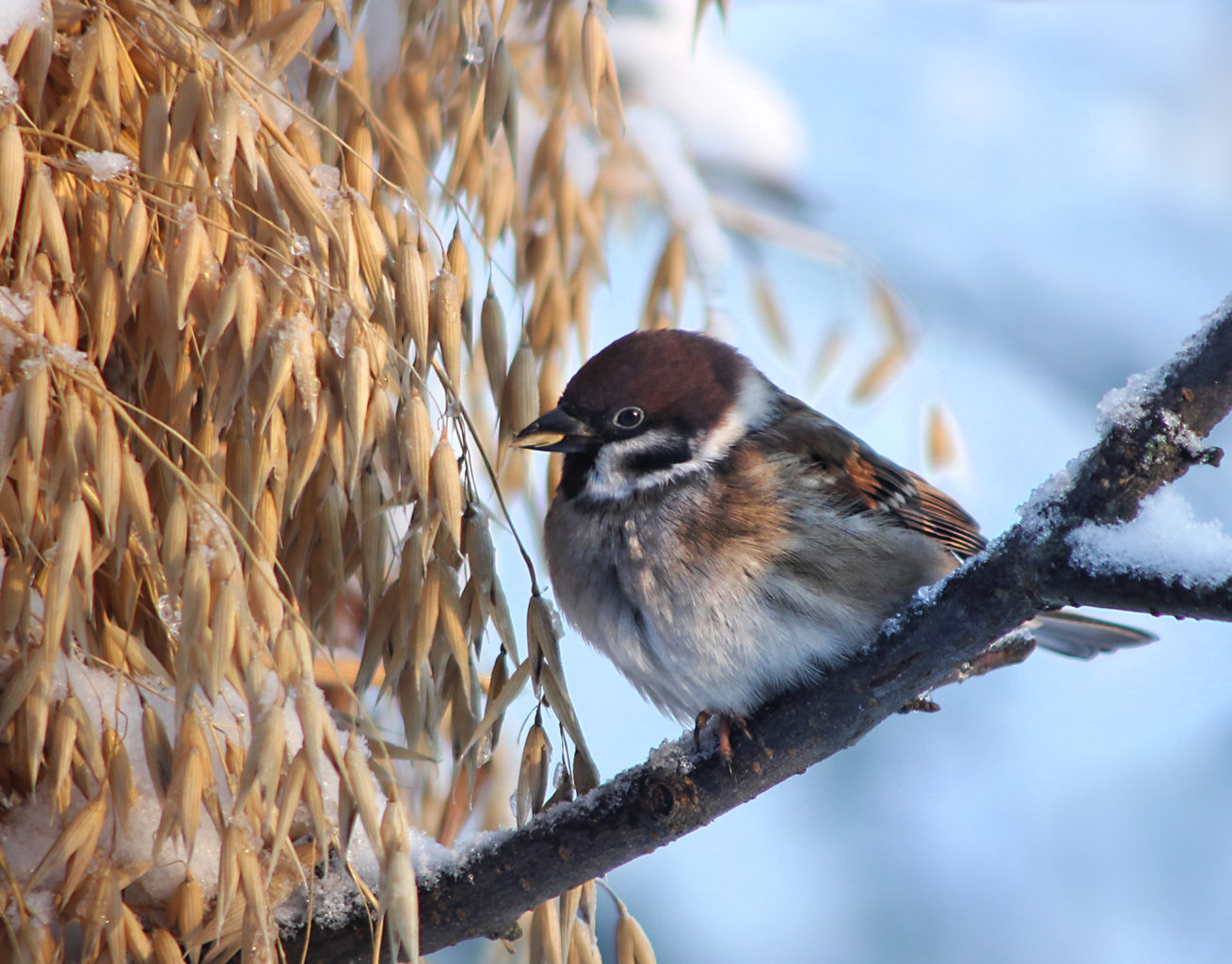 Valokuvaaja: Tarja Porkkala