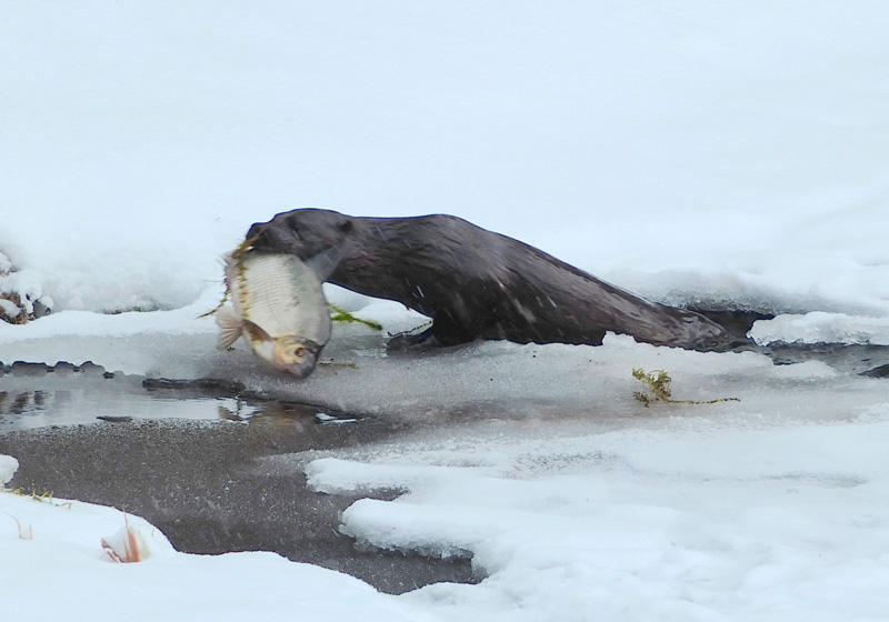Valokuvaaja: Hannu Rasiranta